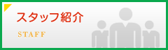 スタッフ紹介