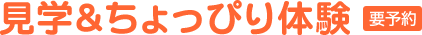 見学＆ちょっぴり体験