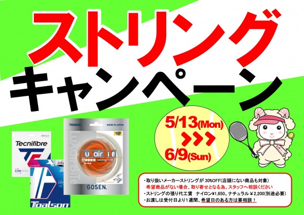 Microsoft Word - 2024,5 ストリングキャンペーン